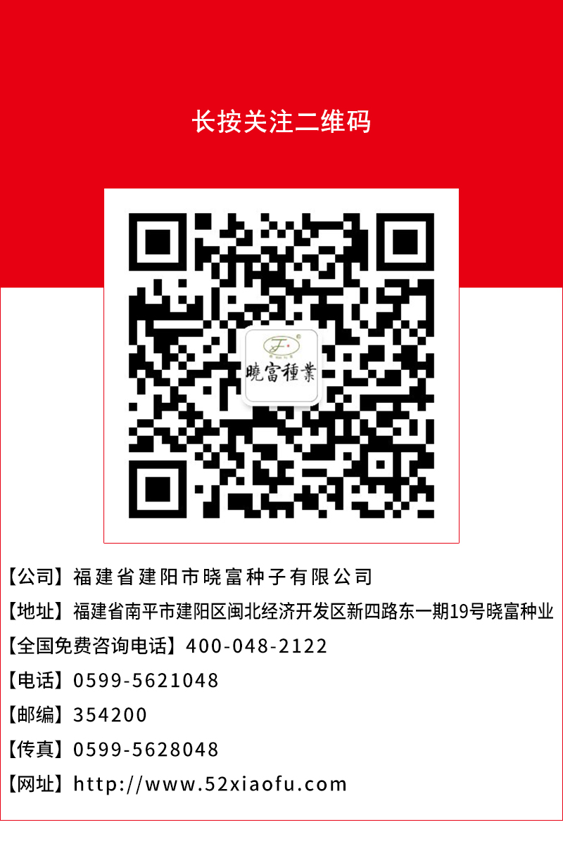 1608455396124930.jpg 頁(yè)底.jpg